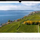 „Das Rebgut Haltnau zwischen Meersburg und Hagnau.“ Kalenderblatt für Oktober 2021 zeigt Weinberge am Bodensee.