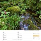 Kalenderblatt für Mai 2027. Foto: dichter, bewachsener Wald mit Moos, Farnen und fließendem Bach.