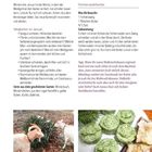 Januar: Anbauplanung, Rezept für Fichtennadelbutter. Bilder: Ziegen bei Tannenbaum, runde grüne Butterstücke.