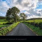 "Burren" und Kalenderdaten unten. Eine schmale Straße führt durch grüne Landschaft, gesäumt von Bäumen und Steinmauern.