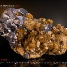 Den Texten „Mundus Mineralis 2027“, „Galenit XX“, „Deutschland, Sachsen-Anhalt“, folgt ein eindrucksvoller Mineralstein.