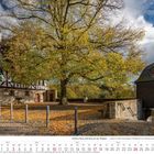 Schloss Burg und Burg an der Wupper. Ein großes altes Gebäude mit Fachwerk, ein Baum im Herbst mit gelben Blättern.