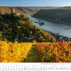 "Der Rhein von Mainz bis Köln." Goldene Weinreben im Vordergrund, Burg und Fluss in herbstlicher Landschaft im Hintergrund.