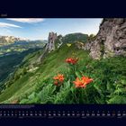 06 Juni. Kalender mit Berglandschaft, grünen Hügeln, kräftigen Felsen und orangefarbenen Blumen im Vordergrund.