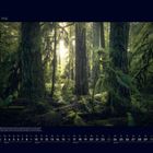 05 Mai. Kalendarium unten. Text über Naturwunder Vancouver Islands. Wald mit hohen, moosbedeckten Bäumen, Sonnenlicht scheint.