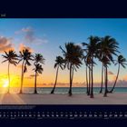07 Juli. Kalenderblatt mit Palmen am Strand bei Sonnenuntergang, ruhiges Meer im Hintergrund.