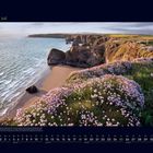 07 Juli. Küstenlandschaft mit Klippen, Meer und rosa Blüten im Vordergrund. Darunter ein Monatskalender für Juli.