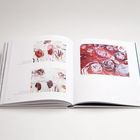 Texte: “La Vie en Rose”, "Regierungspräsidium Karlsruhe”. Ein Buch mit drei abstrakten, rosenartigen Malereien.