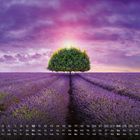 Kalenderdaten für den Oktober unten. Ein einzelner Baum steht in einem Lavendelfeld unter einem dramatischen violetten Himmel.