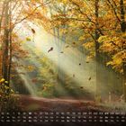 Kalender mit Oktobertagen, Waldweg von Sonnenstrahlen durchflutet, Herbstlaub fällt, goldenes Licht durch Bäume.