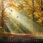 Kalenderdaten unten, zeigt Oktober. Sonnenstrahlen fallen durch herbstliche Bäume im Wald, bunte Blätter fallen.