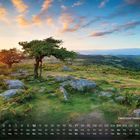 "Dartmoor Nationalpark 10", Kalender mit einer malerischen Landschaft bei Sonnenuntergang, Bäume und Felsen im Vordergrund.