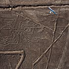 Oben rechts fliegt ein blau-weißes Flugzeug über eine riesige, spinnförmige Erdzeichnung im Wüstenboden.