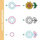 "Natur: Sonnenblume" entlang einer Skizzenreihe; Schritte 1–6 zeigen die Entwicklung einer gezeichneten Sonnenblume.