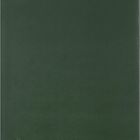 Moleskine, dunkelgrünes Notizbuch mit elastischem Verschlussband unten und links, schlichtes Design.