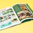 Der Text beschreibt eine Geschichte über Einsiedlerkrebse, die ihre Behausungen wechseln. Illustrationen und Fotos zeigen den Vorgang.