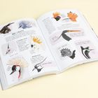 Offenes Buch mit Illustrationen von Vögeln und Texten über Federschöpfe und deren Funktion bei Kommunikation, Hierarchie.