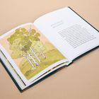 Links: Illustration von Birken und grünen Blättern. Rechts: Text mit Titel "PETIOLE How a Leaf Moves".