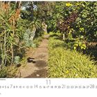 Text: Puerto de la Cruz, Jardín Botánico. Kalender mit November-Daten. Ein sonniger Gartenweg, umgeben von üppigen Pflanzen und Bäumen.