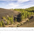 "Pinos de Gáldar", Novemberkalender mit Wald auf vulkanischem Hang, viele grüne Bäume unter blauem Himmel.