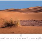 „11 CASAЯES EDITION“ steht unten. Sanddünen mit Grasbüscheln bei klarem Himmel.