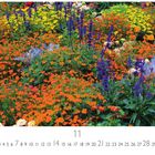 11, 7, 14, 21, 28; Casares Edition. Ein Meer aus bunten Blumen mit leuchtendem Orange, Violett und Gelb.