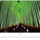 "Bambus Wald in Kyoto." Ein beleuchteter Pfad führt durch hohe, grün leuchtende Bambusstämme. Datum unten: November.