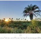 "El Palmar National Park" und "11". Sonnenuntergang über einer Wiese mit Palmen.