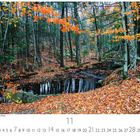 Text: "New Hampshire, Lume Gorge Park", "11", "CASARES EDITION". Herbstwald mit buntem Laub und kleinem Bach.