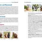 **Texte:**

- Tier- und Pflanzenwelt
- Die Tierwelt
- Säugetiere
- Känguru
- Koala
- Numbat
- Schnabeligel
- Wombat
- Quoka

**Beschreibung:**

Links Fließtext über die australische Tierwelt. Rechts Bilder von Tieren: Känguru, Koala, Numbat, Schnabeligel, Wombat, Quoka.