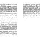 Seiten 24-25 eines Textes über Freiwilligenarbeit, soziale Themen, Geschlechtergerechtigkeit und Partizipation in Österreich.