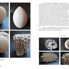 Text "Haptics means the perception we make through physical contact with objects, the tactile grasp." Links gezeigte, organische Objekte.
