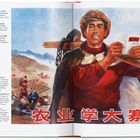 "Es gibt keine Schwierigkeit auf der Welt, die man nicht überwinden kann." Illustration: Arbeiter mit Holz, Gruppe im Hintergrund.