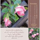 Kalenderseite für November. Zitat von Elizabeth von Arnim über Garten und Muße. Rosa Rosen an schwarzem Gitter.