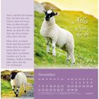 Ein Spruch von C.F.A. Krummacher, ein Schaf auf einer Wiese, Text "Alles, Herr, bist du" und ein Novemberkalender.