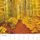 Kalender für November: Monatstage darunter, Waldweg von gelben und orangefarbenen Herbstbäumen umgeben.