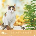 "Nov" oben links, Kalendertage darunter. Eine Katze sitzt auf einem Baumstamm, rechts daneben ist ein Farn.