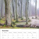 "November" steht oben, darunter eine Monatsübersicht als Kalender. Dahinter Buchenwald im Nebel.