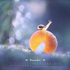 November-Kalenderseite. Eine kleine Schnecke auf einem leuchtenden, orangefarbenen Pilz in einer natürlichen Umgebung.