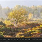 Kalender unten mit November-Daten. Herbstliche Landschaft mit Birkenbaum, Büschen und Wald im Hintergrund.