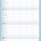 Kalender mit November-Daten, Feiertagen und Wochentagen. Unten ein Kätzchen mit blauen Augen auf einer grauen Decke.