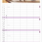 Kalender mit Foto eines Graupapageis und einer Britisch Kurzhaar Katze auf einem Tisch. Unter ihnen ein Monatskalender für November.