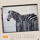 Text: "NOV" oben, Kalendarium darunter. Illustration eines Zebras mit herablaufenden Streifen auf einer Betonwand.