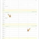 Kalender für November mit Feiertagen, Mondphasen und Sonnenaufgang/-untergang. Illustration mit Junge und Fuchs.