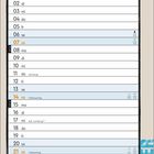 Kalender für November mit Feiertagen. Illustration: Eine Putzfrau kehrt Schmutz unter eine Wandtapete.
