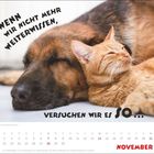 "Wenn wir nicht mehr weiterwissen, versuchen wir es so... November." Ein schlafender Hund neben einer entspannten Katze.