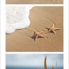 November 2021, Kalenderblatt mit Strandmotiven. Ein Liegestuhl am Meer, Seesterne im Sand, Gräser im Wind.