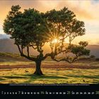 Kalenderseite: November, Tage 1 bis 30. Ein Baum vor Sonnenuntergang, Lichtstrahlen durch die Äste, Landschaft im Hintergrund.