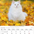 Kalenderseite für November 2027. Eine weiße Katze sitzt auf Herbstlaub. Feiertage sind markiert.