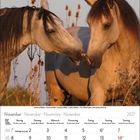 Kalendermonat November 2027. Bild zeigt zwei braune Pferde, die sich nahe stehen, mit Pflanzen im Hintergrund.